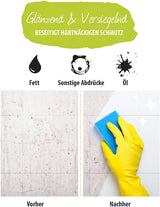 4 Profi-Reinigungsmittel im Mini-Set (4x 100ml) | Hochkonzentriert, tierversuchsfrei und umweltfreundlich