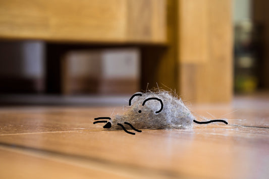 Sagen Sie den Staubmäusen den Kampf an!