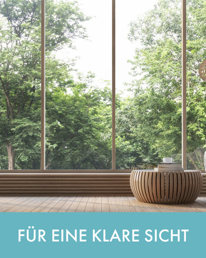 Fenster-Reinigungs-Set in Profi-Qualität 5-tlg.